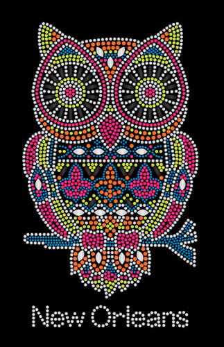 Multi Color Owl with Fleur de Lis Rhinestone Tshirt