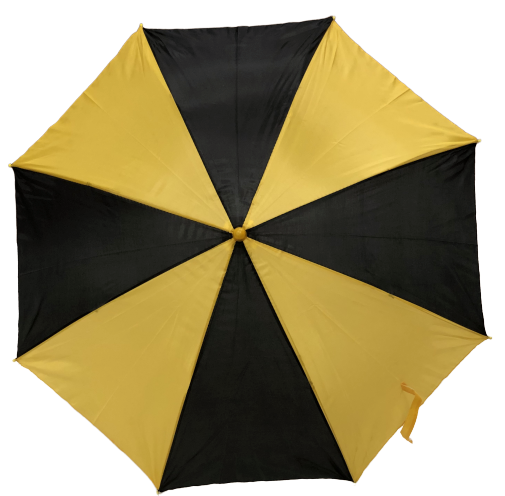 Black & Gold Parasol